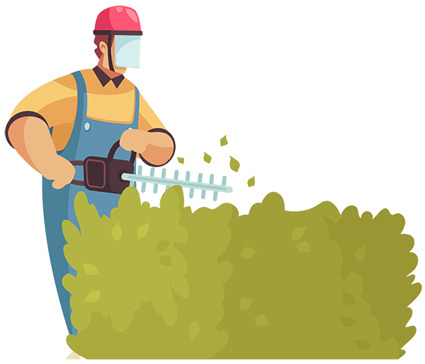 trimming hedges